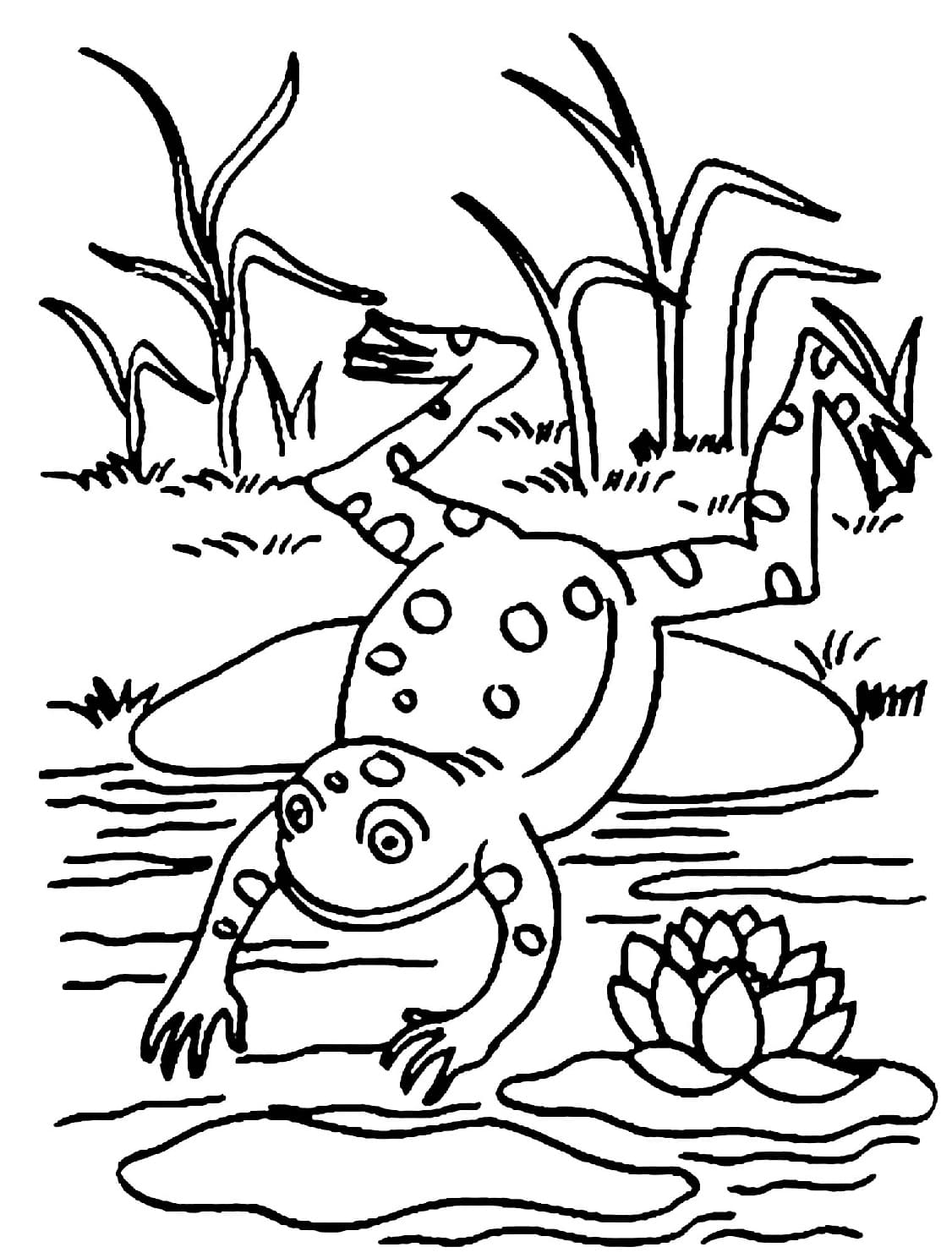 Raskrasil.com-Frog-Coloring-Pages-4