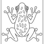 Raskrasil.com-Frog-Coloring-Pages-45