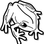 Raskrasil.com-Frog-Coloring-Pages-55