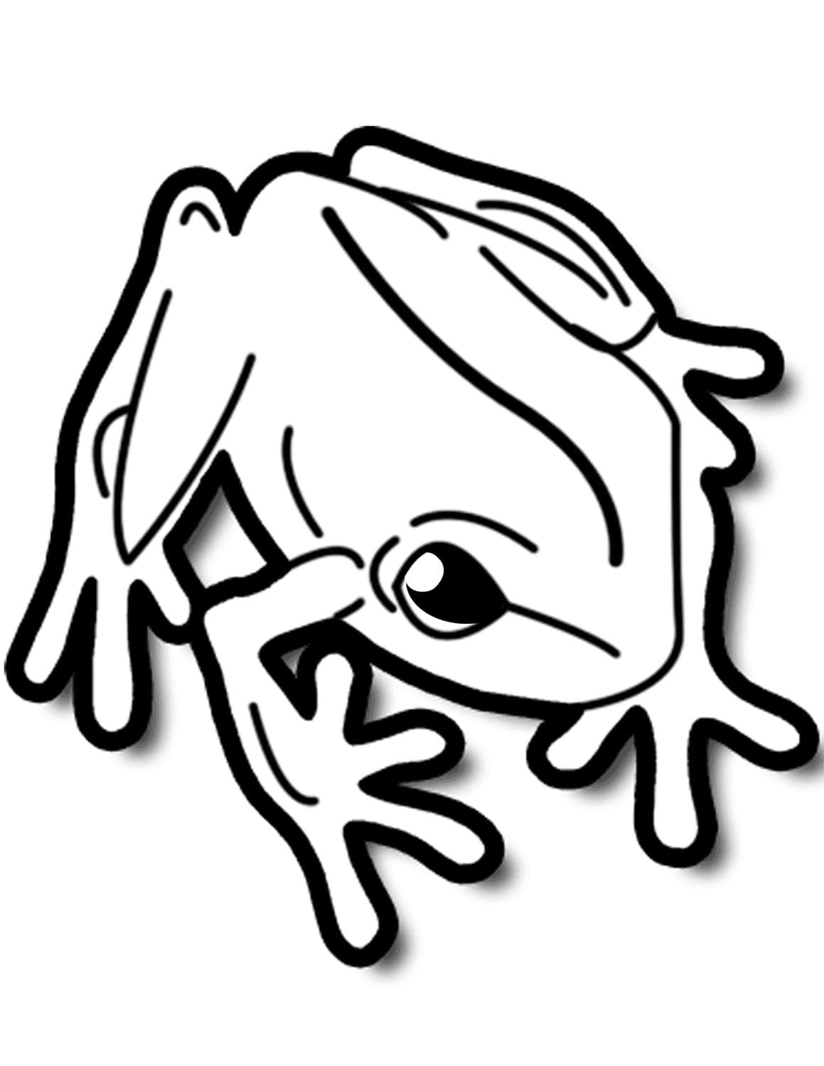 Raskrasil.com-Frog-Coloring-Pages-55