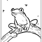 Raskrasil.com-Frog-Coloring-Pages-60