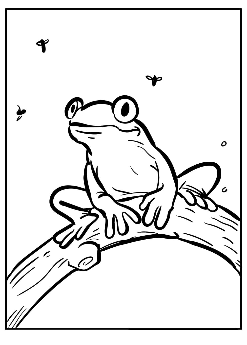 Raskrasil.com-Frog-Coloring-Pages-60