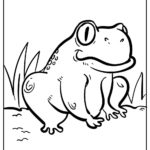 Raskrasil.com-Frog-Coloring-Pages-67