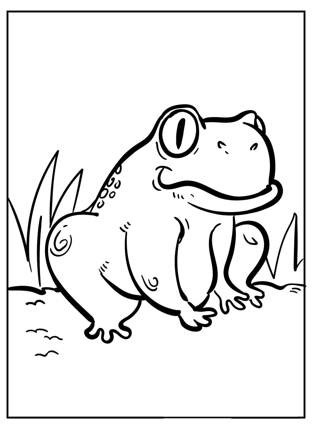 Raskrasil.com-Frog-Coloring-Pages-67