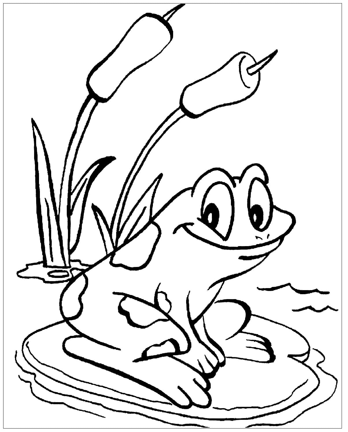 Raskrasil.com-Frog-Coloring-Pages-7