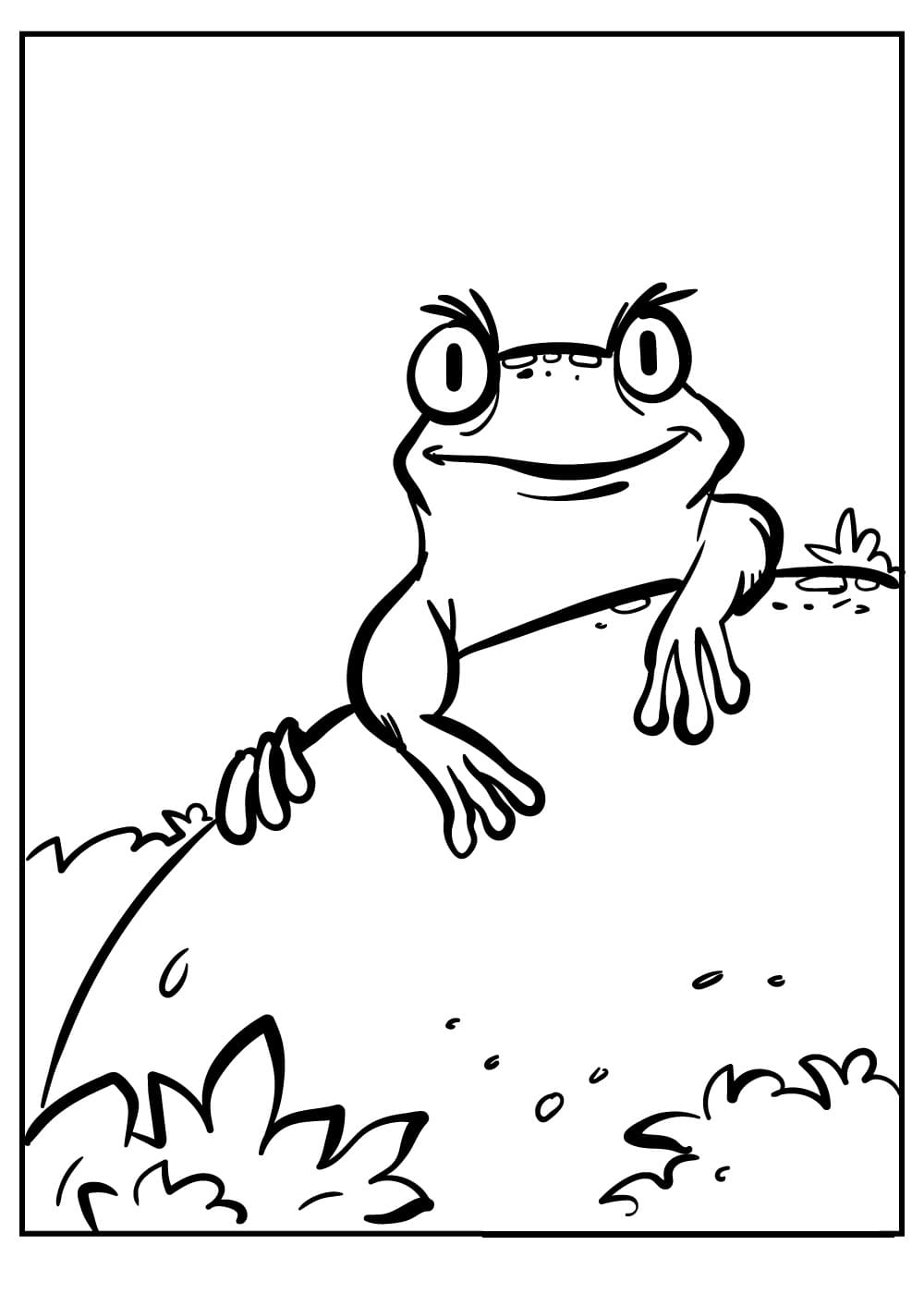 Raskrasil.com-Frog-Coloring-Pages-72