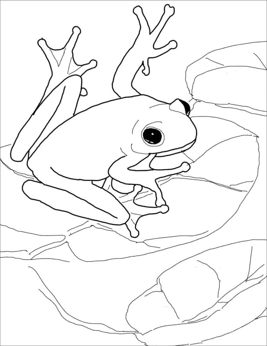 Raskrasil.com-Frog-Coloring-Pages-74