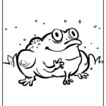 Raskrasil.com-Frog-Coloring-Pages-79