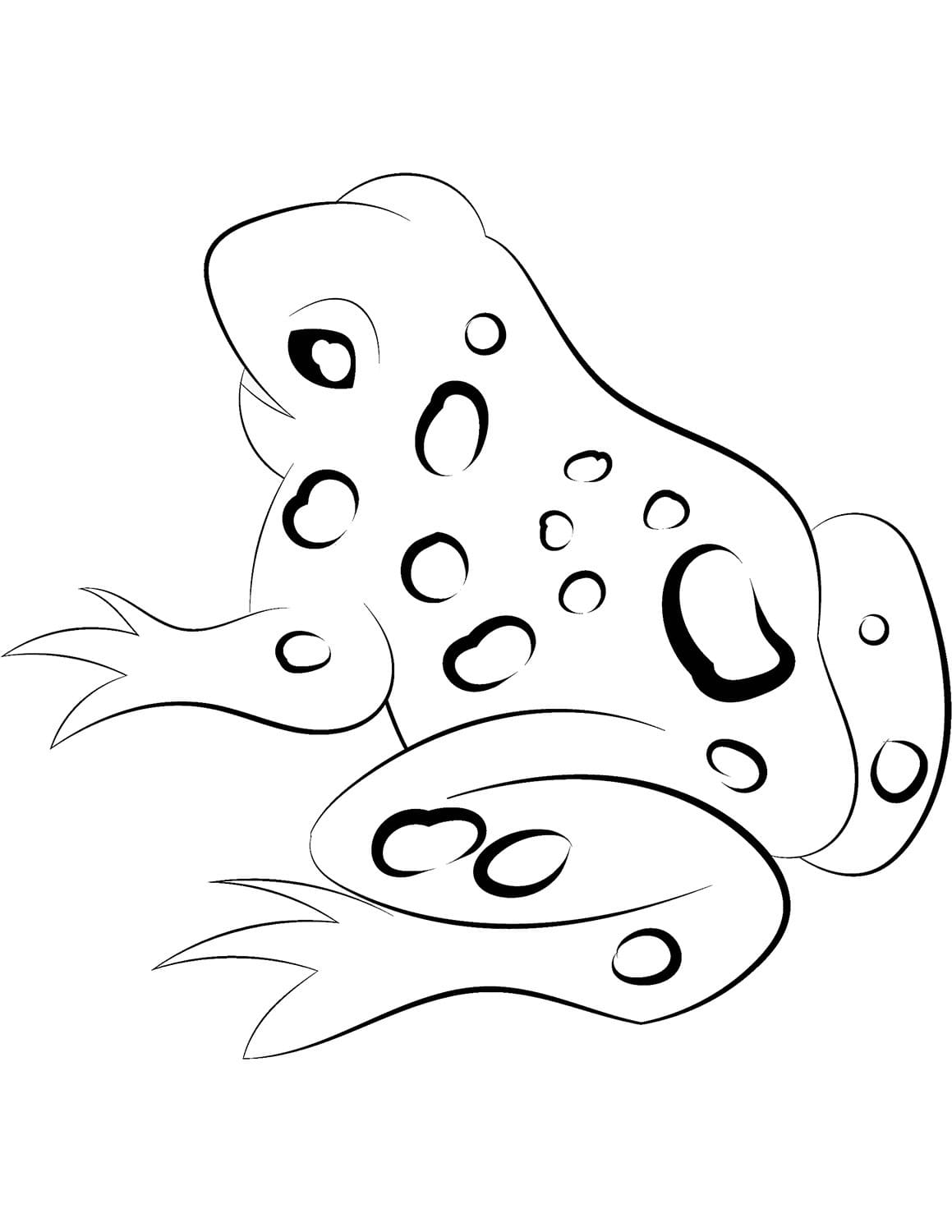 Raskrasil.com-Frog-Coloring-Pages-82