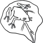 Raskrasil.com-Frog-Coloring-Pages-89