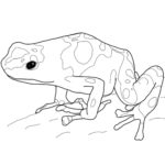 Raskrasil.com-Frog-Coloring-Pages-97