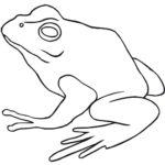 Raskrasil.com-Frog-Coloring-Pages-99