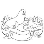 Raskrasil.com-Seal-Coloring-Pages-10