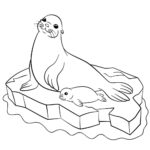 Raskrasil.com-Seal-Coloring-Pages-12