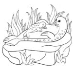 Raskrasil.com-Seal-Coloring-Pages-17