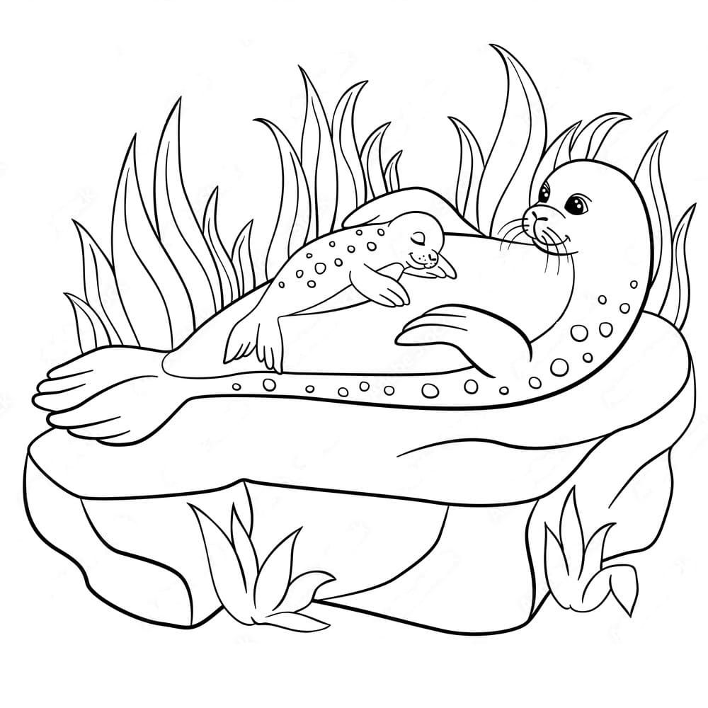 Raskrasil.com-Seal-Coloring-Pages-17