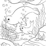 Raskrasil.com-Seal-Coloring-Pages-2