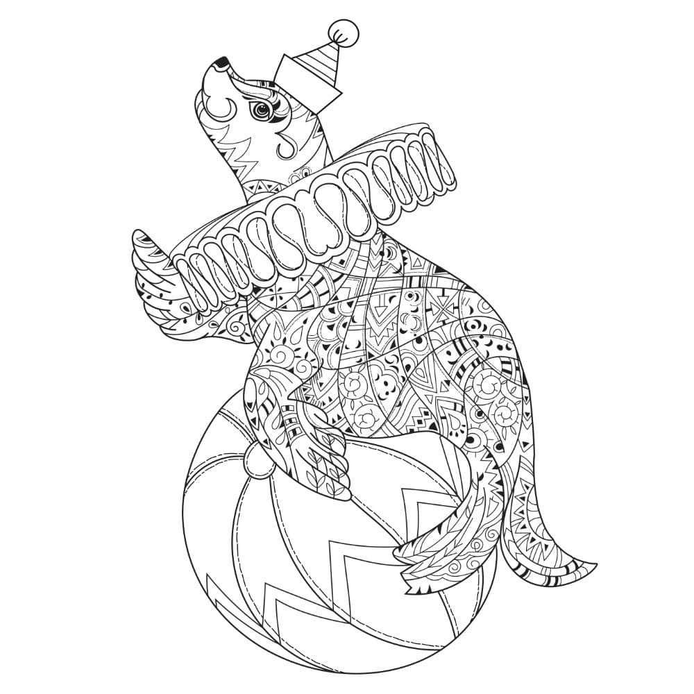 Raskrasil.com-Seal-Coloring-Pages-25
