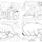Raskrasil.com-Seal-Coloring-Pages-26