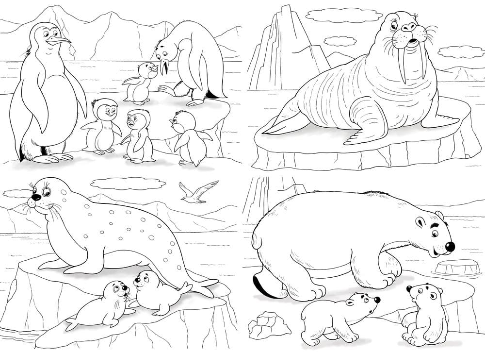 Raskrasil.com-Seal-Coloring-Pages-26