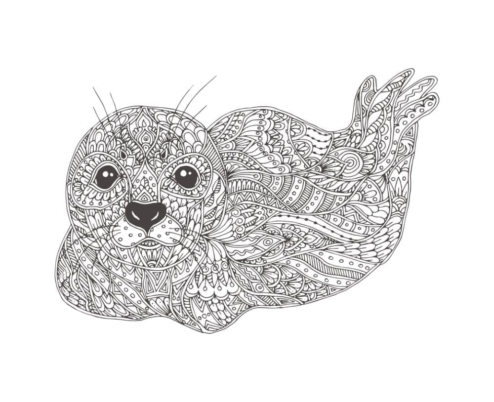 Raskrasil.com-Seal-Coloring-Pages-29