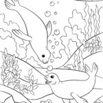 Raskrasil.com-Seal-Coloring-Pages-3