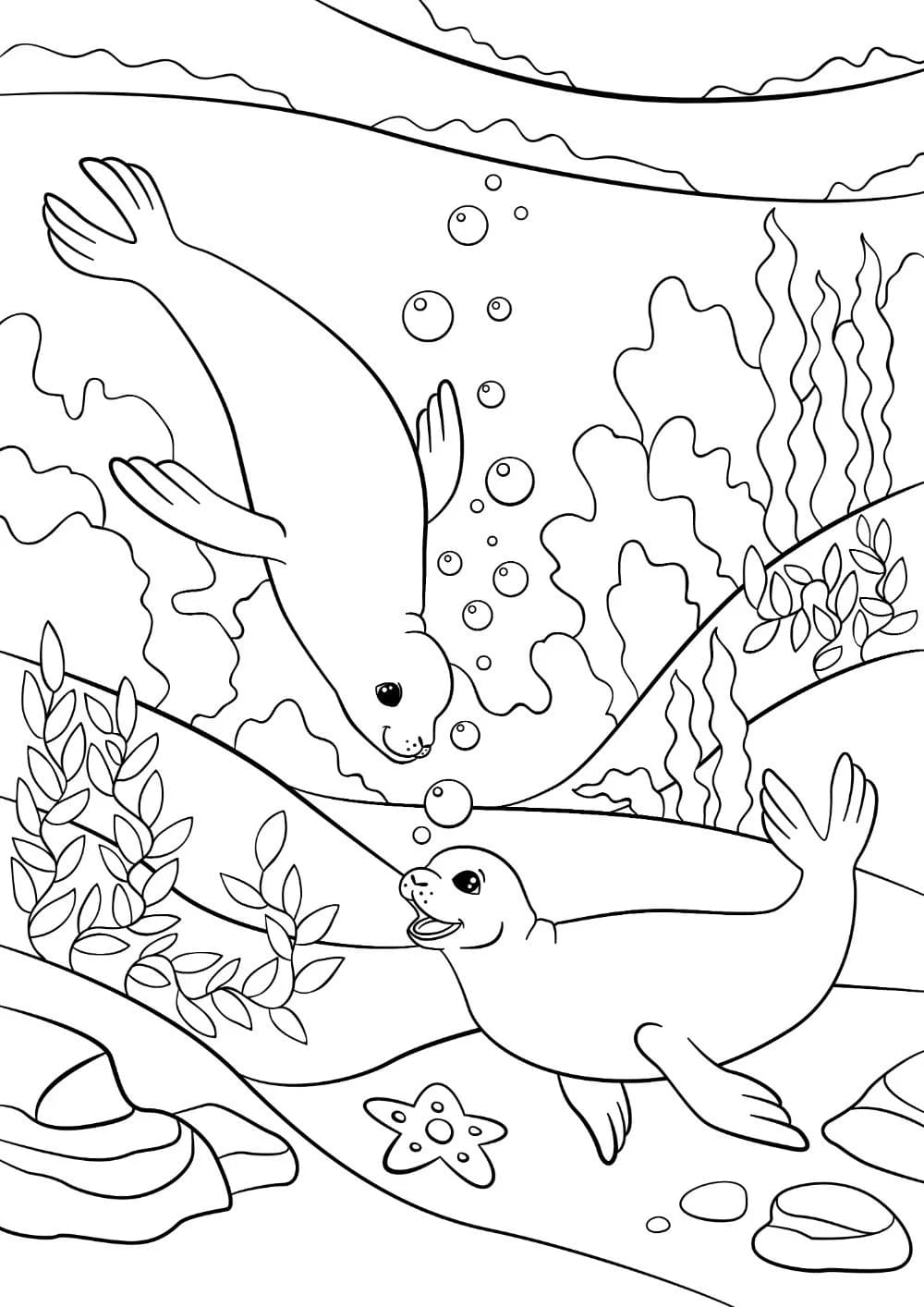 Raskrasil.com-Seal-Coloring-Pages-3