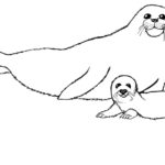 Raskrasil.com-Seal-Coloring-Pages-31