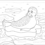 Raskrasil.com-Seal-Coloring-Pages-38