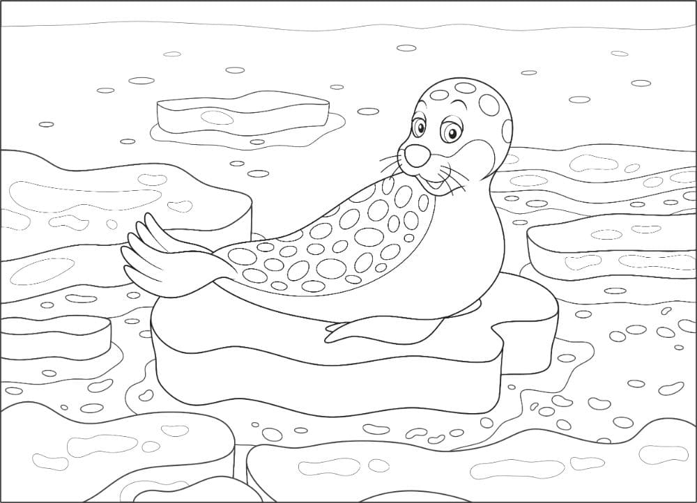 Raskrasil.com-Seal-Coloring-Pages-38
