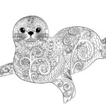 Raskrasil.com-Seal-Coloring-Pages-4