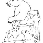 Raskrasil.com-Seal-Coloring-Pages-40