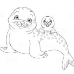 Raskrasil.com-Seal-Coloring-Pages-44