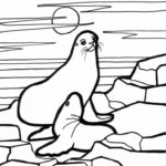 Raskrasil.com-Seal-Coloring-Pages-46