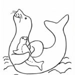 Raskrasil.com-Seal-Coloring-Pages-49