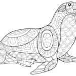 Raskrasil.com-Seal-Coloring-Pages-5