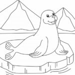Raskrasil.com-Seal-Coloring-Pages-50