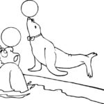 Raskrasil.com-Seal-Coloring-Pages-53