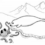Raskrasil.com-Seal-Coloring-Pages-55