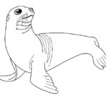 Raskrasil.com-Seal-Coloring-Pages-57