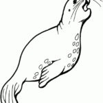 Raskrasil.com-Seal-Coloring-Pages-59