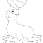 Raskrasil.com-Seal-Coloring-Pages-6