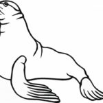 Raskrasil.com-Seal-Coloring-Pages-67