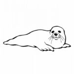 Raskrasil.com-Seal-Coloring-Pages-71