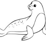 Raskrasil.com-Seal-Coloring-Pages-74