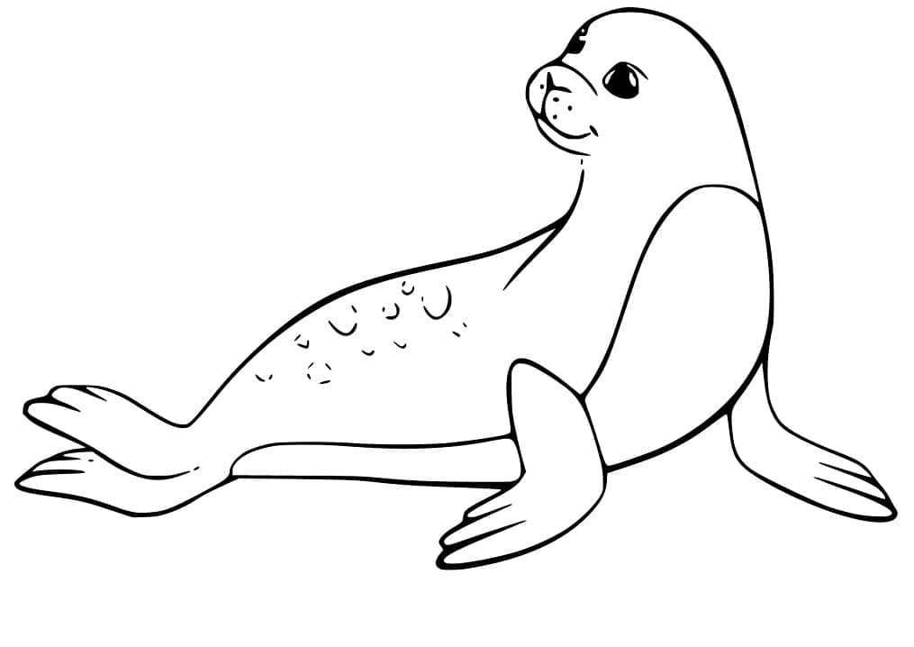 Raskrasil.com-Seal-Coloring-Pages-74