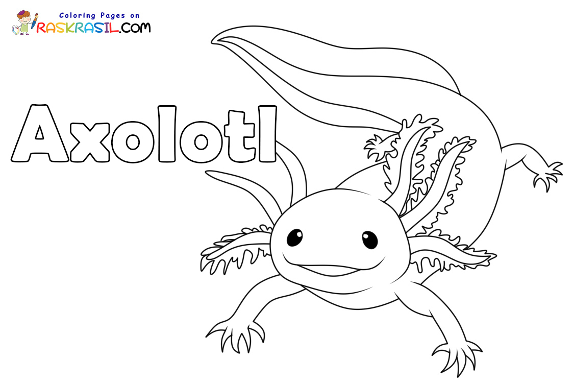 Raskrasil.com-Axolotl-New-Coloring-Page-1