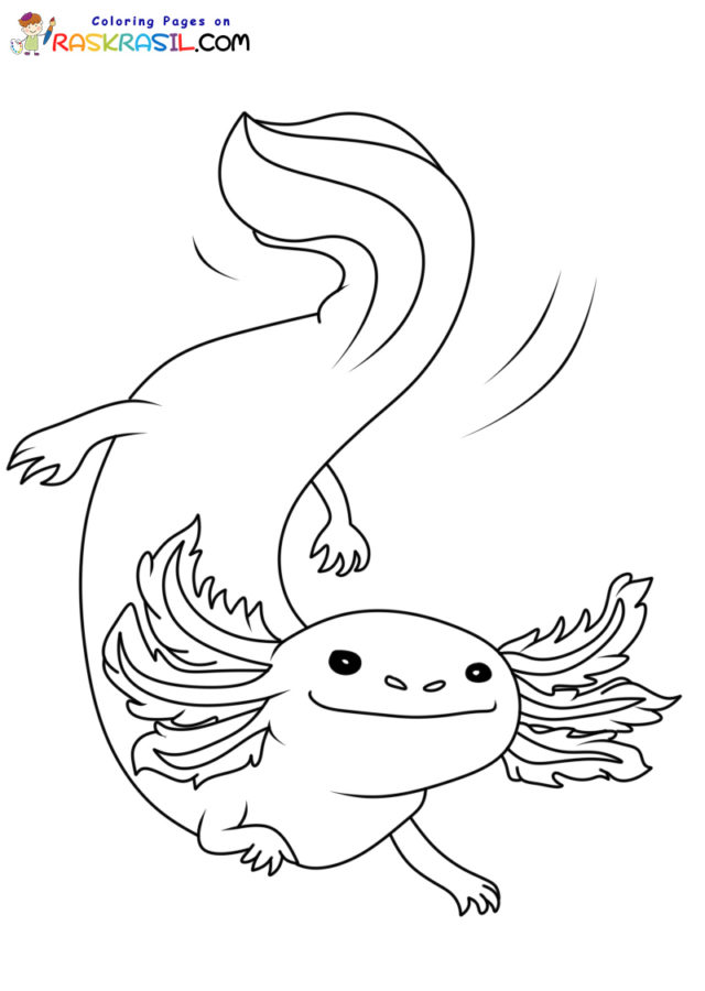 Ausmalbilder Axolotl | Kostenlos Malvorlagen zum Ausdrucken