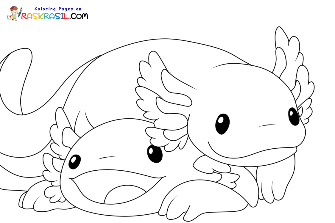 Axolotl Coloring Pages Picstank