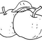 Raskrasil.com-Coloring-Pages-Apple-100
